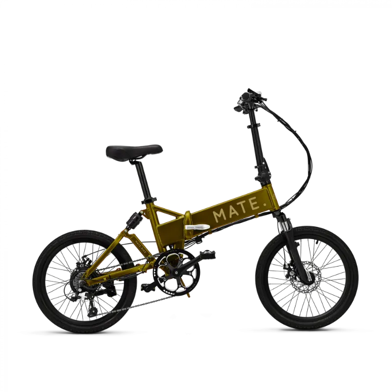 Mate City 250W (13/ 17 AH Batterie)