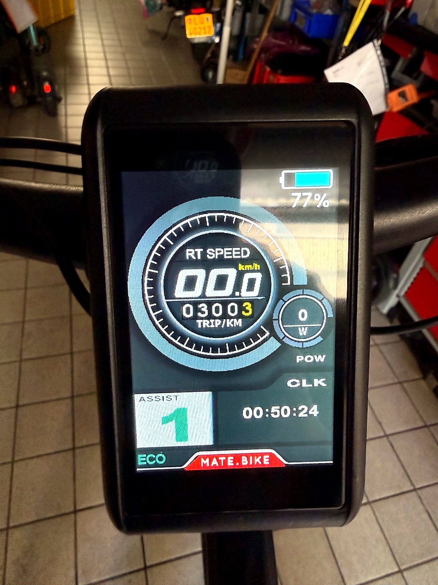 MATE X 250W – Ausstellungsmodell | Nur 300 km | Voll ausgestattet | Top Zustand