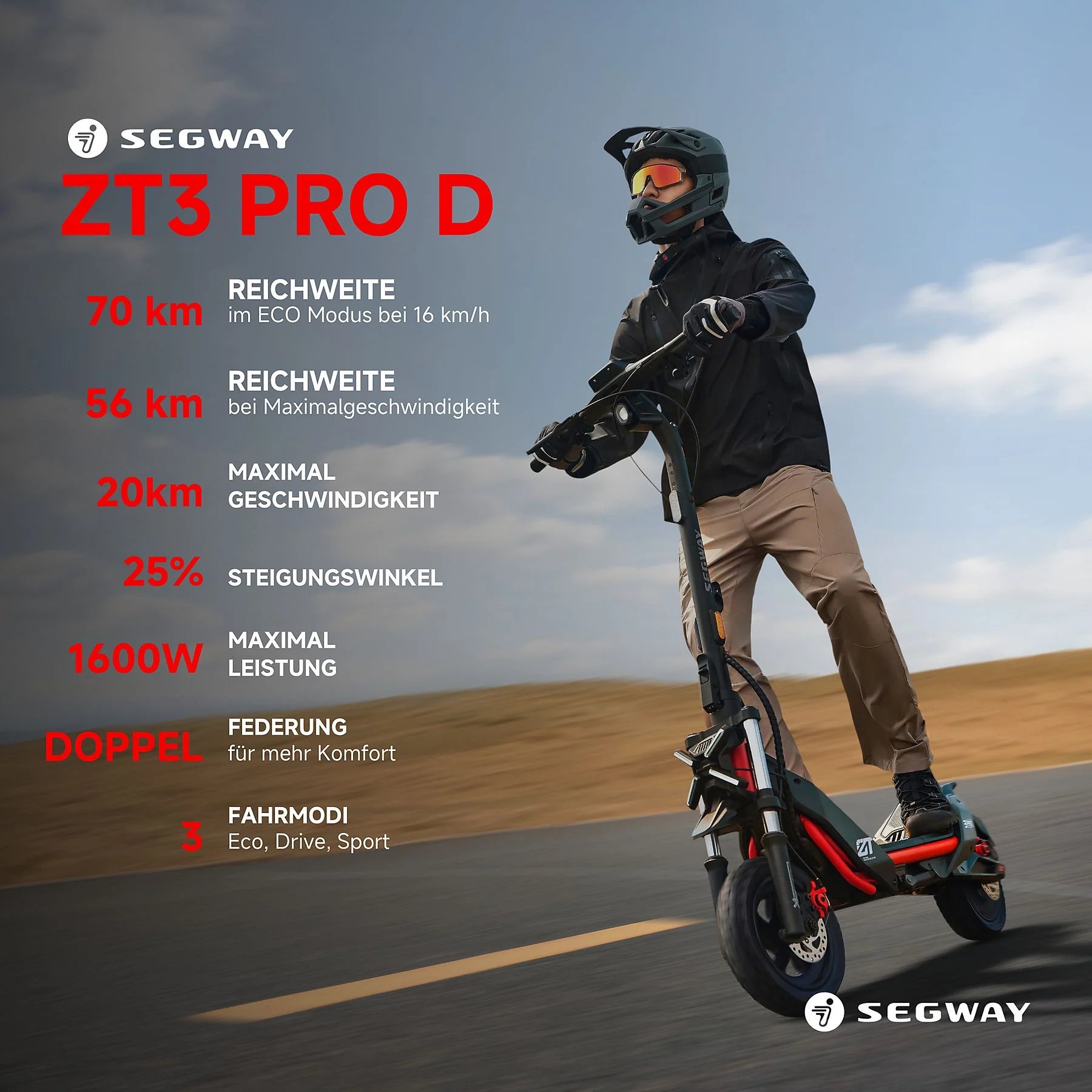 Segway-Ninebot ZT3 Pro D