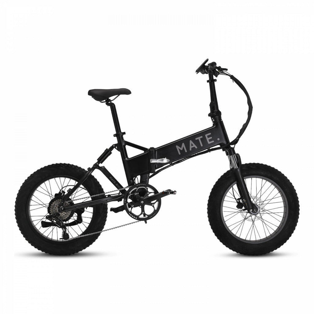 MATE X 250W – Ausstellungsmodell | Nur 300 km | Voll ausgestattet | Top Zustand