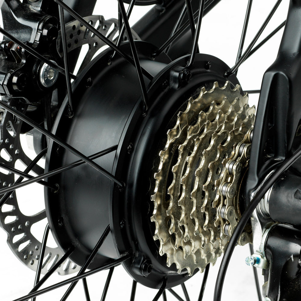 Mate City 250W (13/ 17 AH Batterie)