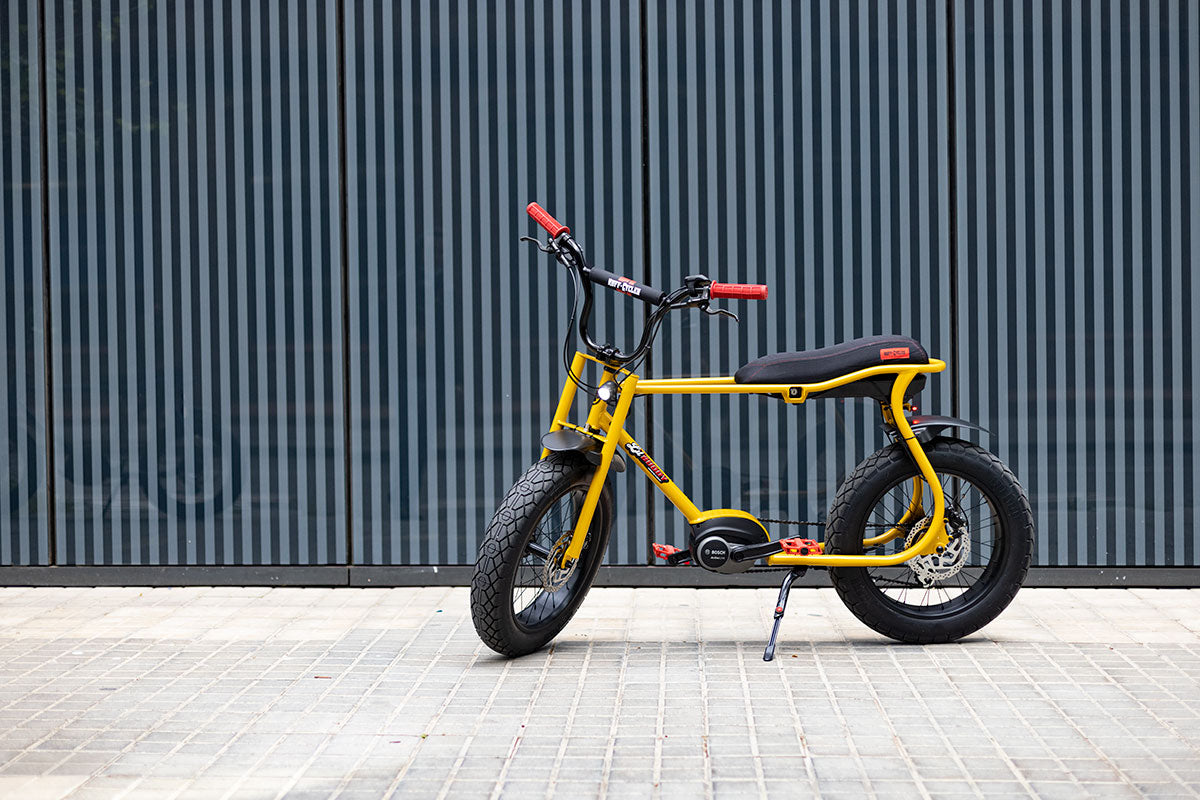 Lil'Buddy RUFF Bike.