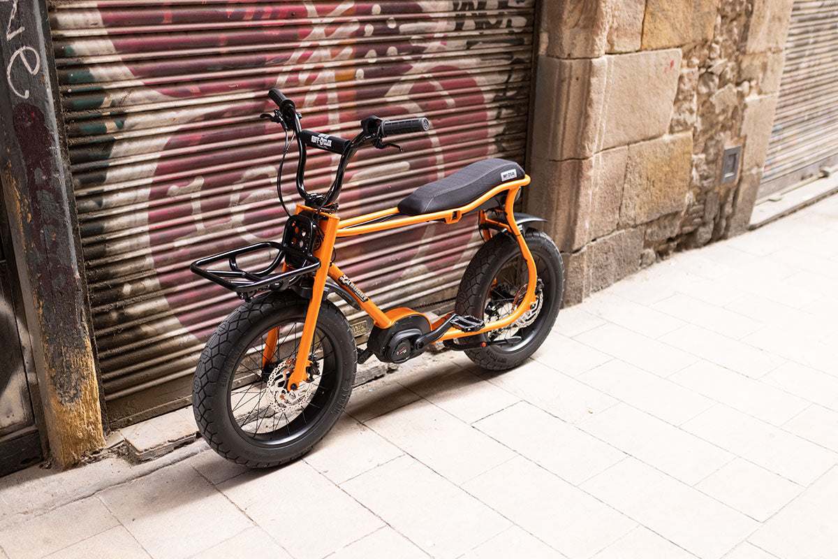 Lil'Buddy RUFF Bike.