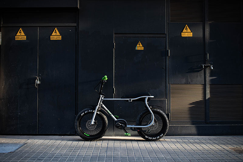 Lil'Buddy RUFF Bike.