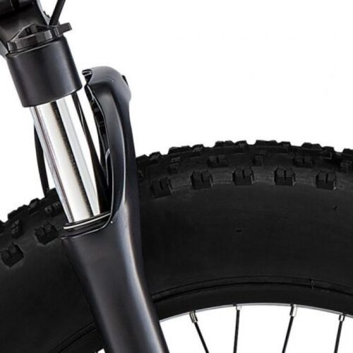 MATE X 250W – Ausstellungsmodell | Nur 300 km | Voll ausgestattet | Top Zustand
