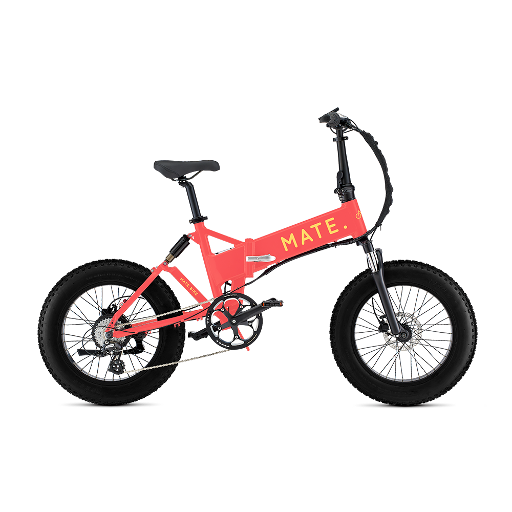 Mate X 250W Interstellar 17AH Batterie End of season sale 200