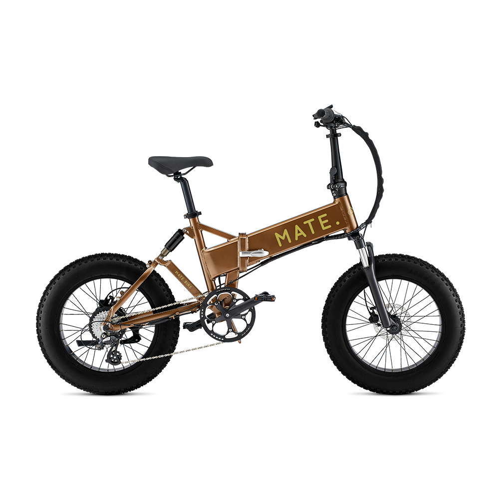 Mate x bike best sale for sale