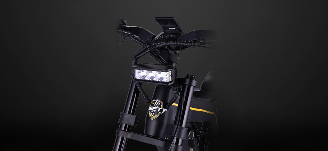 VSETT Eagle Swiss Edition 500W