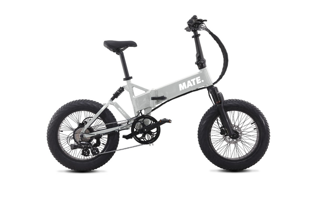 Mate X EVO