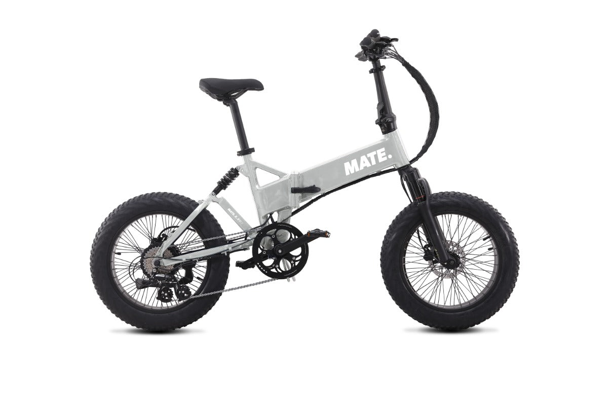 Mate X EVO